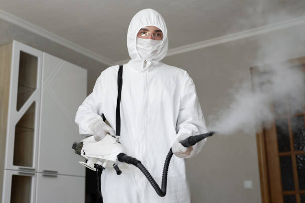 Why You Should Choose Our Mold Remediation Services in Oceanside, NY